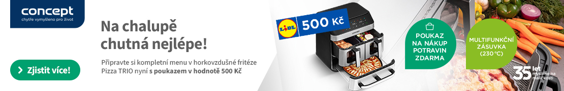 Poukaz v hodnotě 500 Kč k nákupu fritézy Concept (frit.)