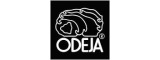 Odeja