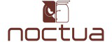 Noctua