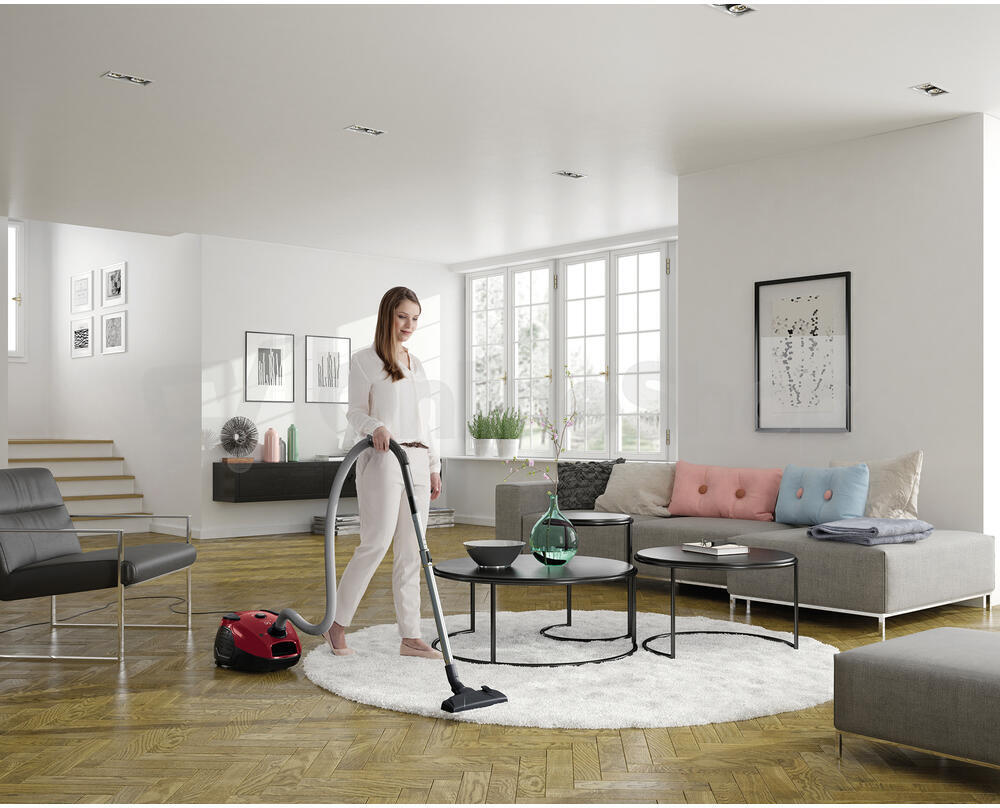 Sáčkový vysavač Electrolux PowerForce EPF61RR