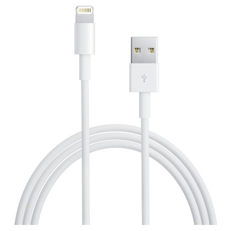 ME291ZM/A iPhone Lightning Datový Kabel 0,5m White (Bulk)