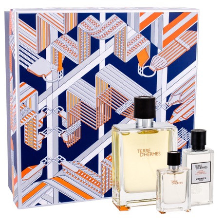 Hermes Terre d´Hermes, 100 ml (foto 2)