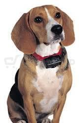 PetSafe® Obojek proti štěkání