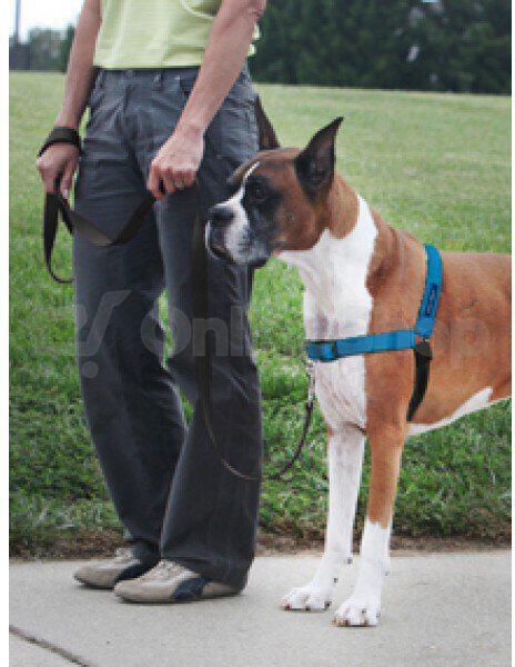 PetSafe® Postroj EasyWalk Deluxe modrý velikost L