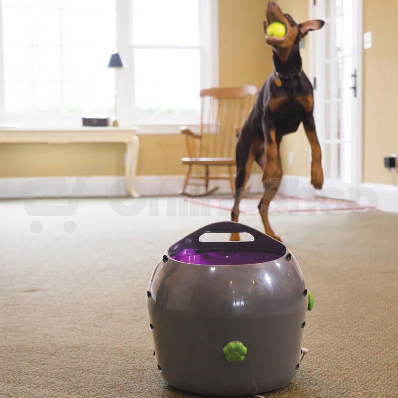 PetSafe® Automatický vrhač míčků