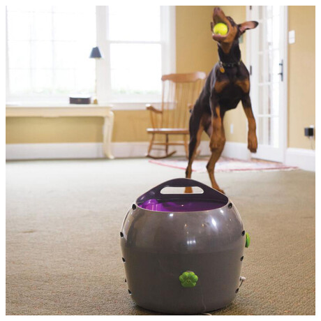 PetSafe® Automatický vrhač míčků