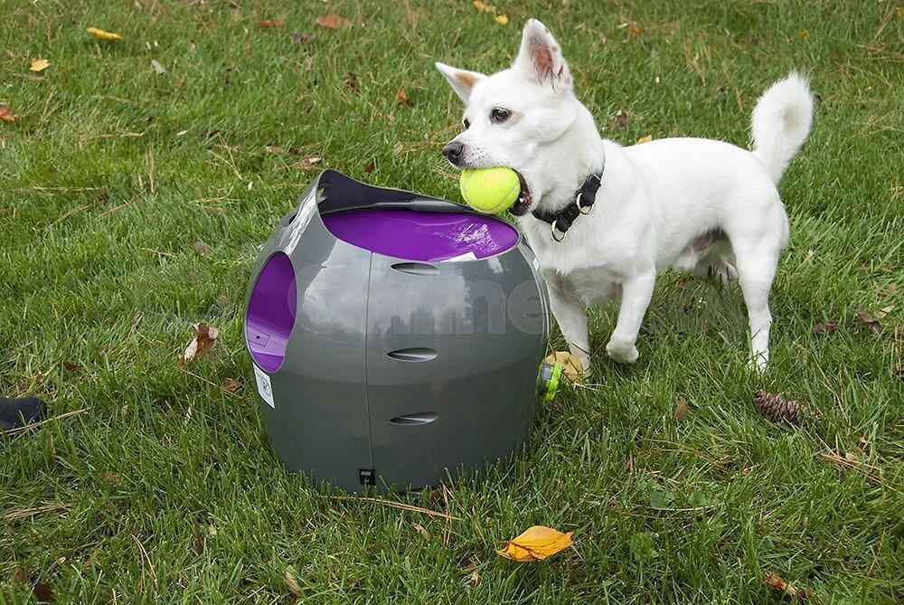 PetSafe® Automatický vrhač míčků