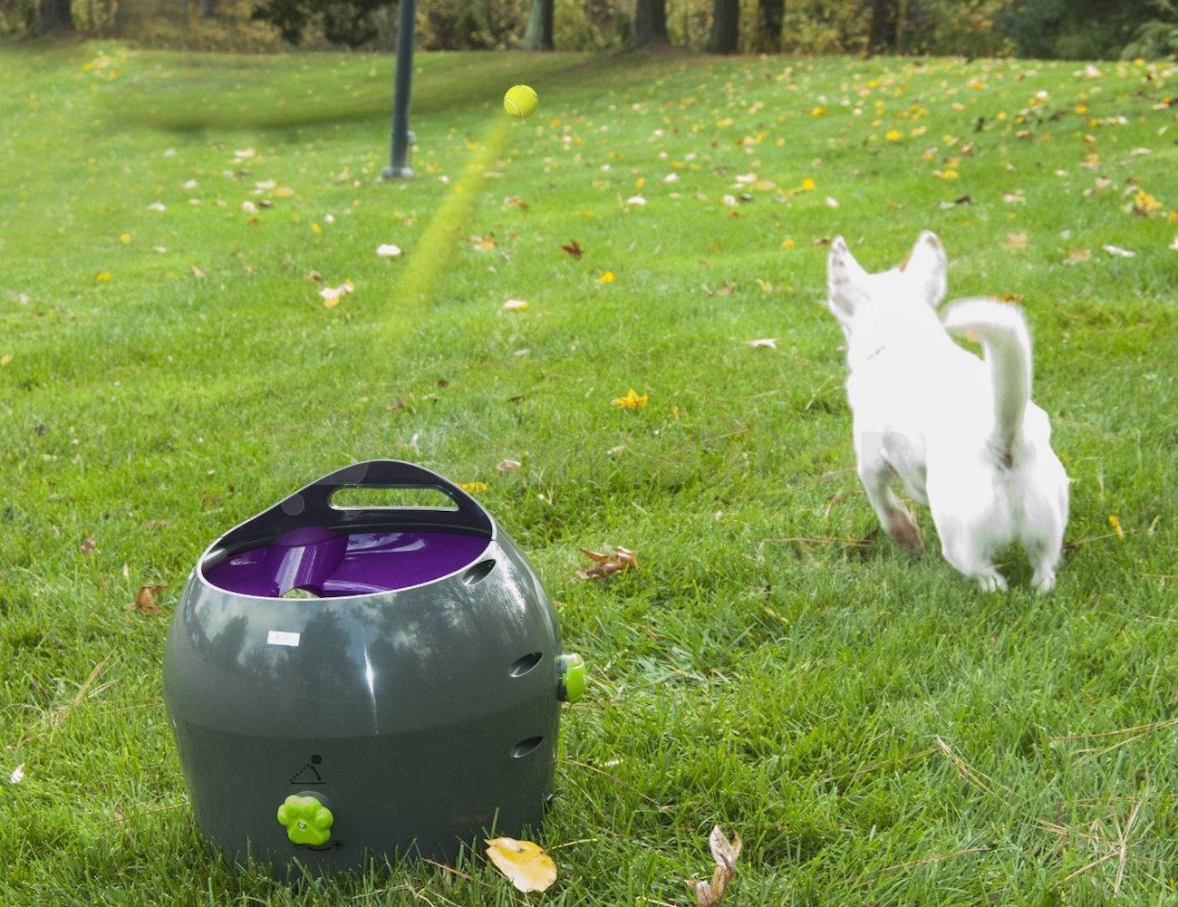 PetSafe® Automatický vrhač míčků