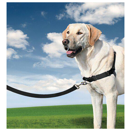 PetSafe® Postroj EasyWalk černý M