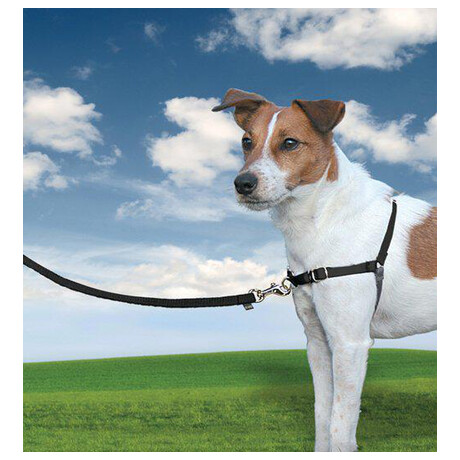 PetSafe® Postroj EasyWalk černý S