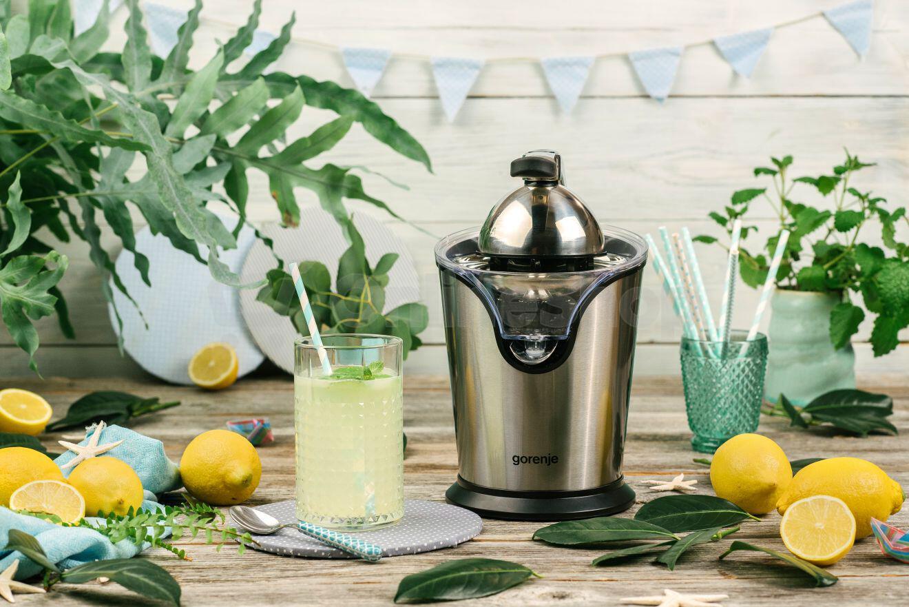 Lis na citrusy Gorenje CITRUS SQUEEZER CJ100HE GOR