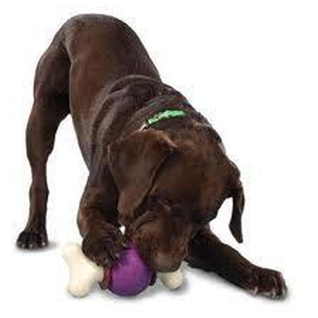 Bouncy Bone™ ML&nbsp;PetSafe (foto 1)
