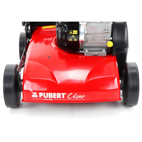 Pubert CESAR 40B (foto 22)