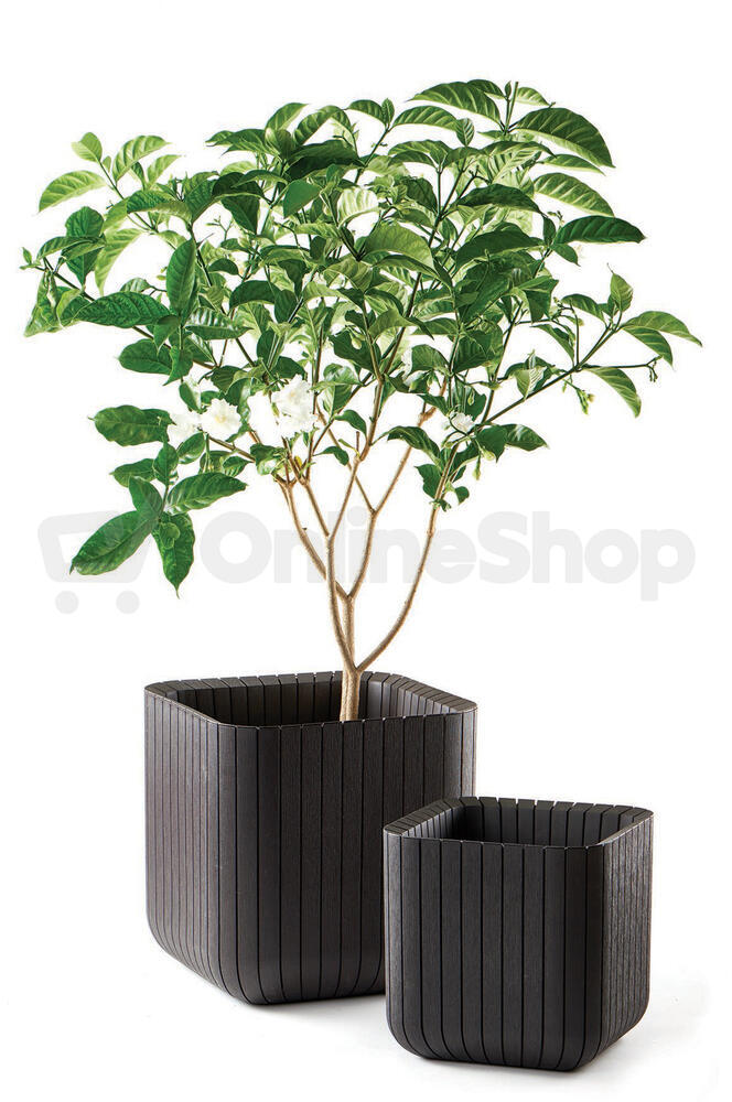 Květináč Keter Cube Planter M whiskey hnědý