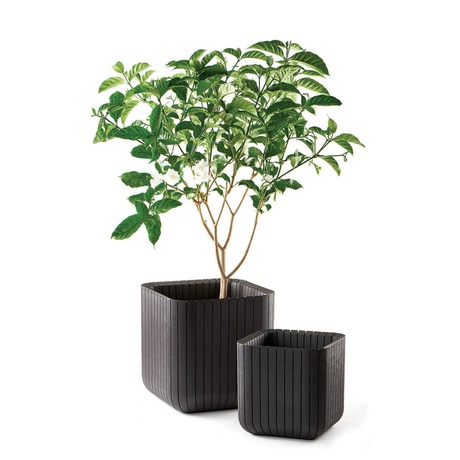 Keter Cube Planter M&nbsp;whiskey hnědý (foto 1)