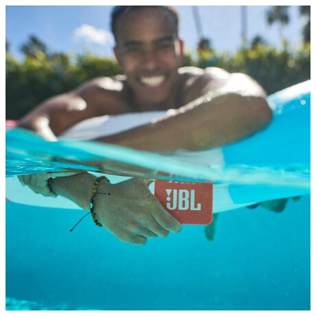 JBL GO2 Mint