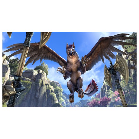 PS4 - The Elder Scrolls Online Summerset