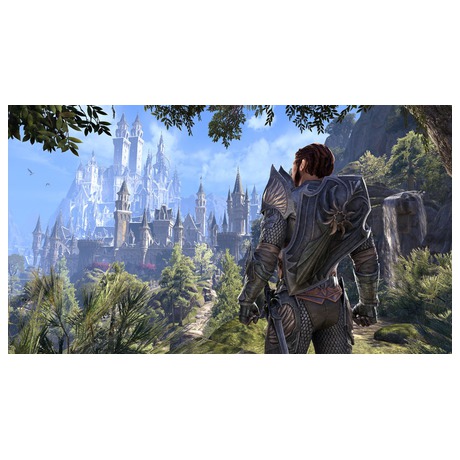 PS4 -&nbsp;The Elder Scrolls Online Summerset (foto 4)
