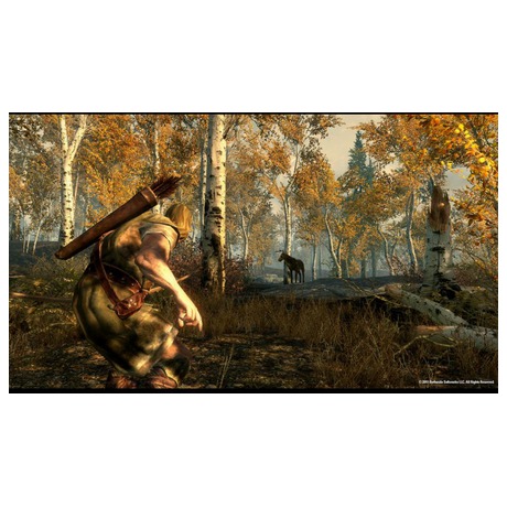 ESD The Elder Scrolls V&nbsp;Skyrim (foto 2)