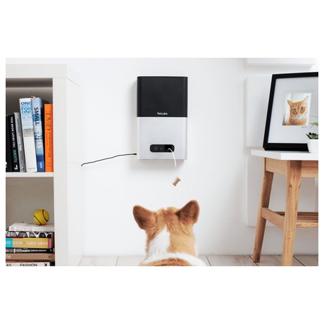 PetCube Bites Smart dávkovač a kamera pro psy