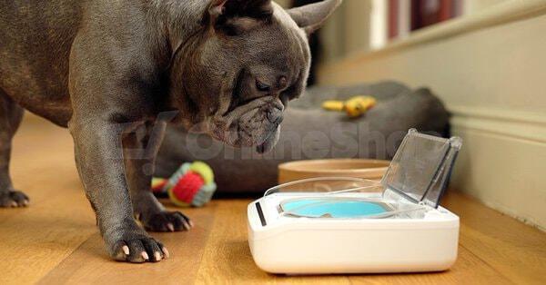 SureFeed Pet Bowl SurePetcare