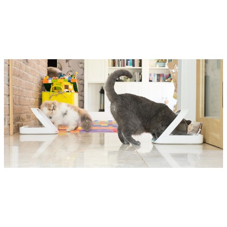 Chytr miska SurePetcare SureFeed
