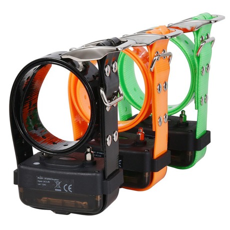Reedog MX-2000 Extreme (foto 1)