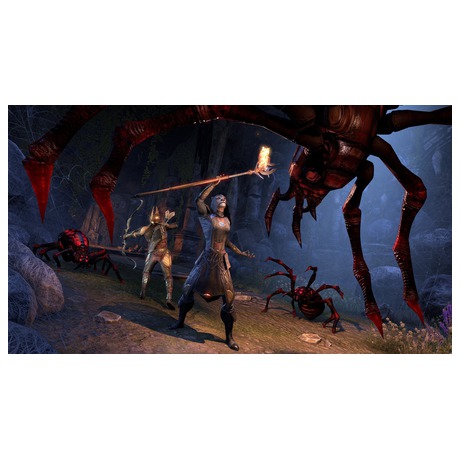 ESD The Elder Scrolls Online Summerset (foto 3)