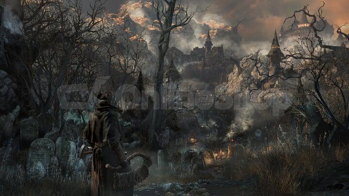 Sony pS4 - Bloodborne HITS (PS719435976)