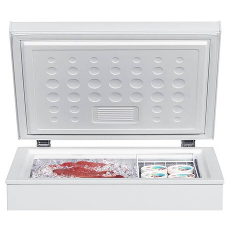 Mraznika Guzzanti GZ 145A