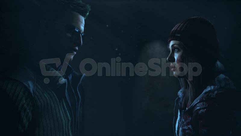 Sony pS4 - Until Dawn HITS (PS719442875)
