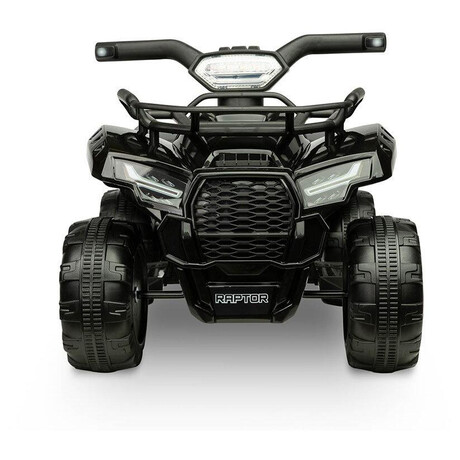 TOYZ Mini Raptor black (foto 2)