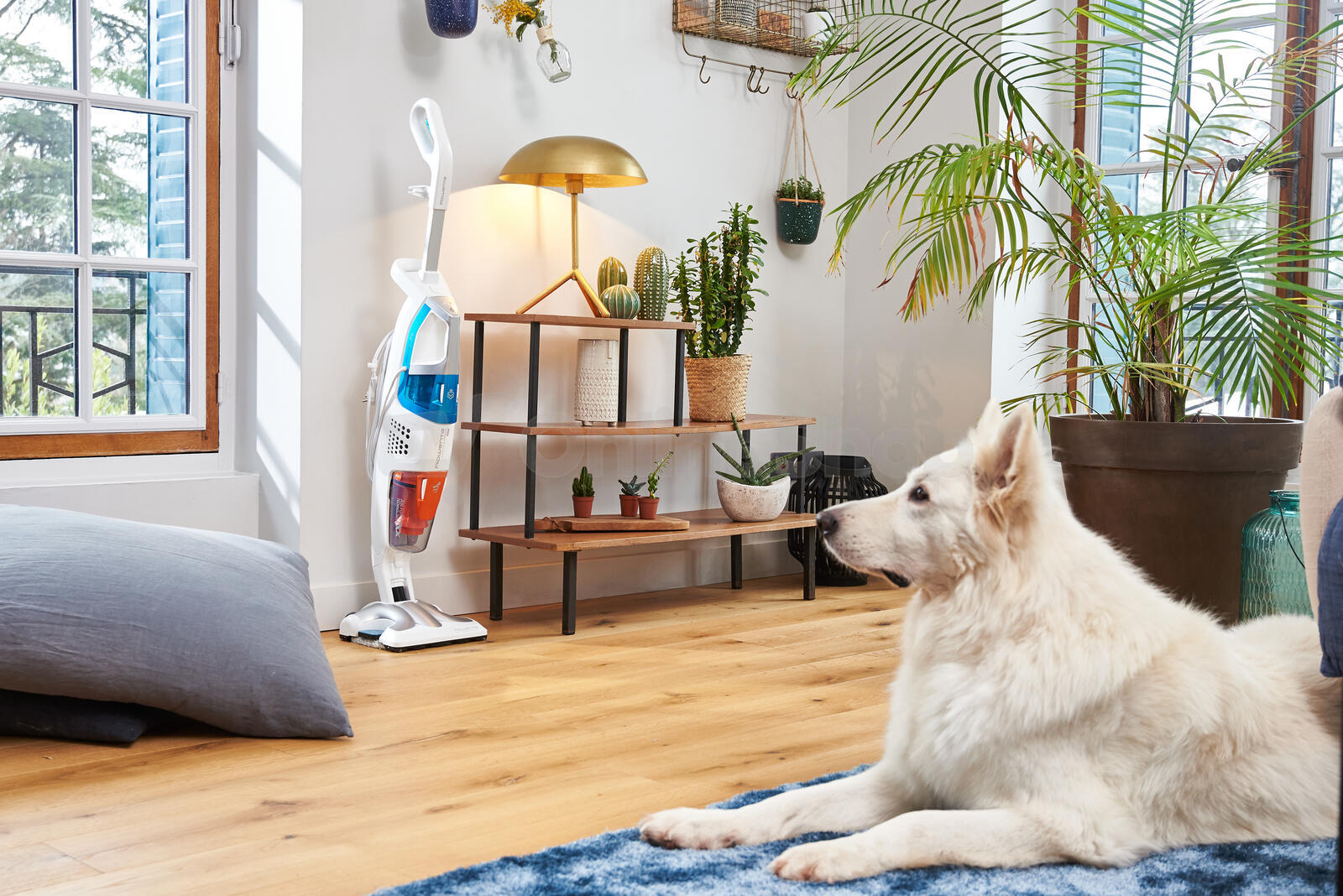 Parní čistič Rowenta RY8544WH Clean & Steam Multi