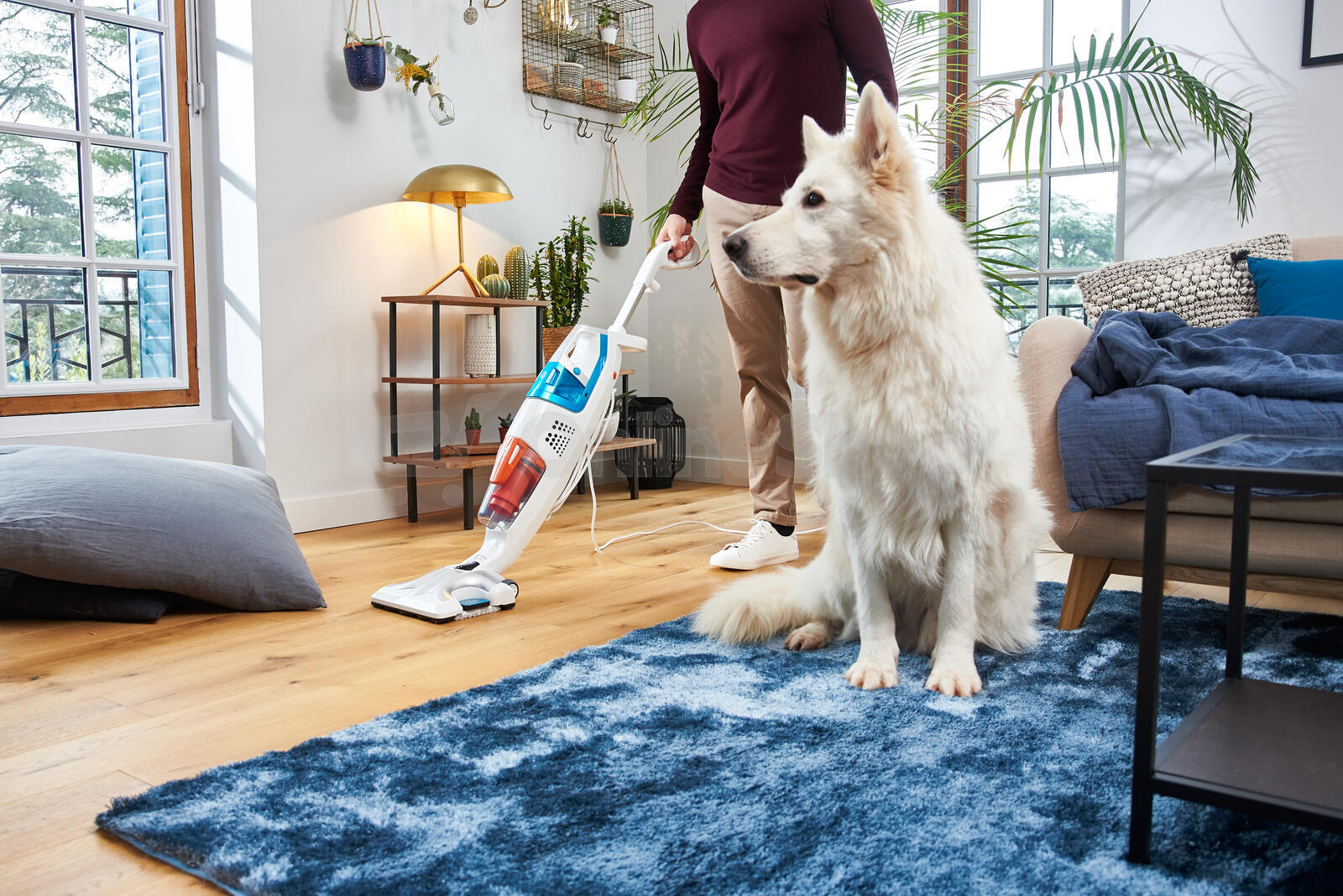 Parní čistič Rowenta RY8544WH Clean & Steam Multi