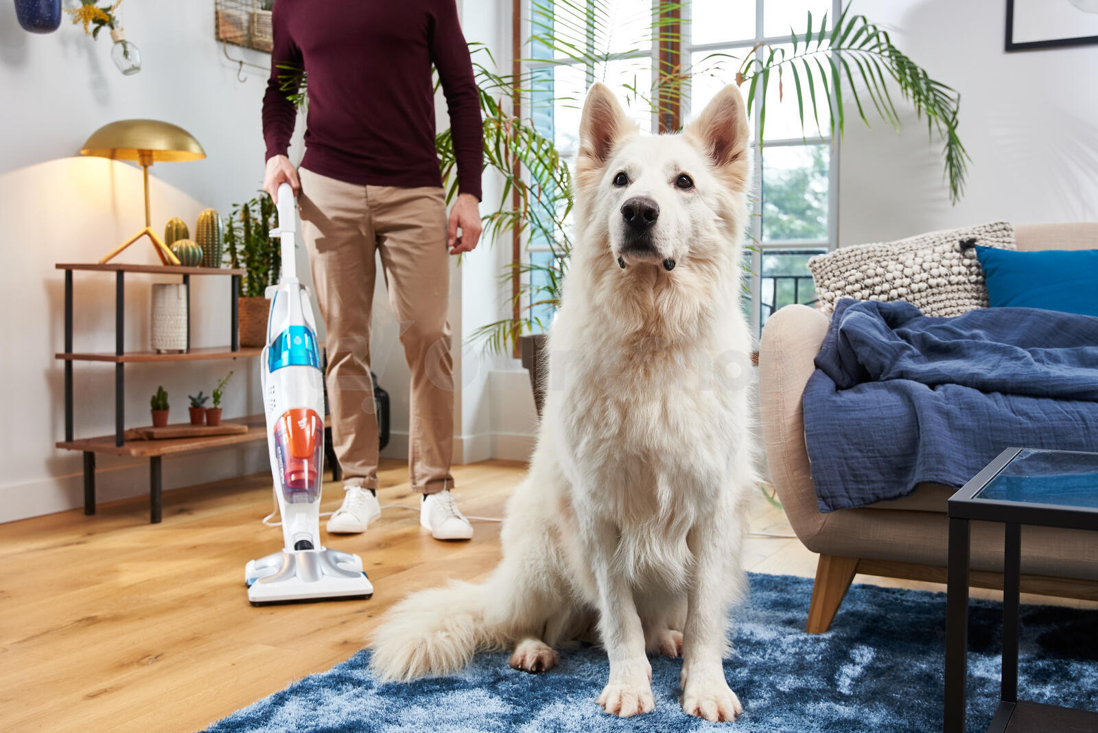 Parní čistič Rowenta RY8544WH Clean & Steam Multi