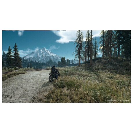 Sony Days Gone (foto 5)