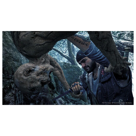 Sony Days Gone (foto 8)