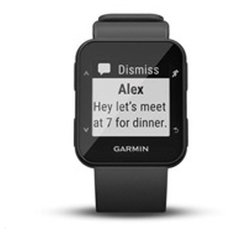 Garmin Forerunner 30&nbsp;Optic Gray (foto 3)