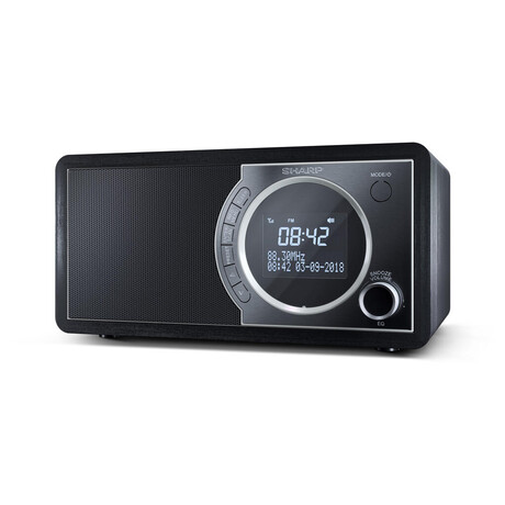 Rádio Sharp DR-450BK