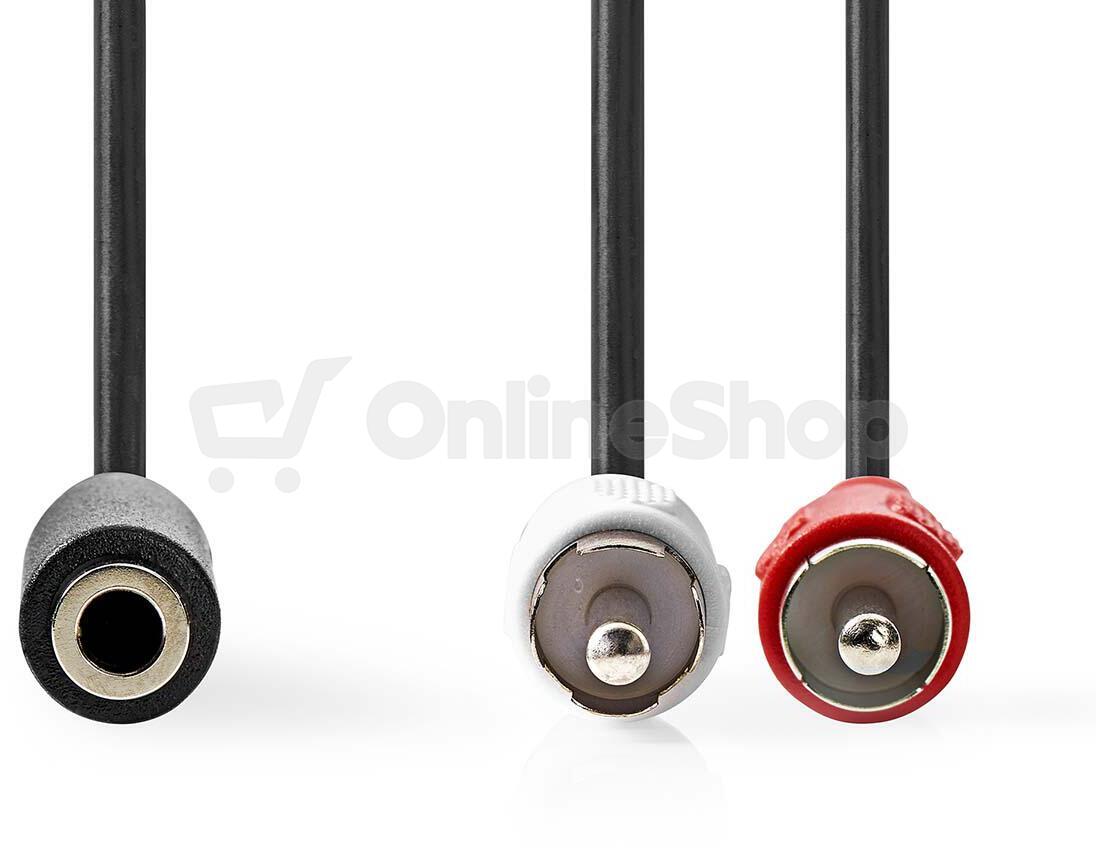 Stereo Audio Kabel NEDIS CAGB22255BK02