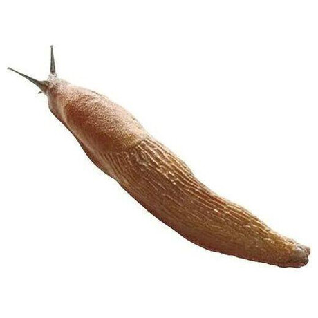 Granult Agro Ferramol proti slimkm 200 g
