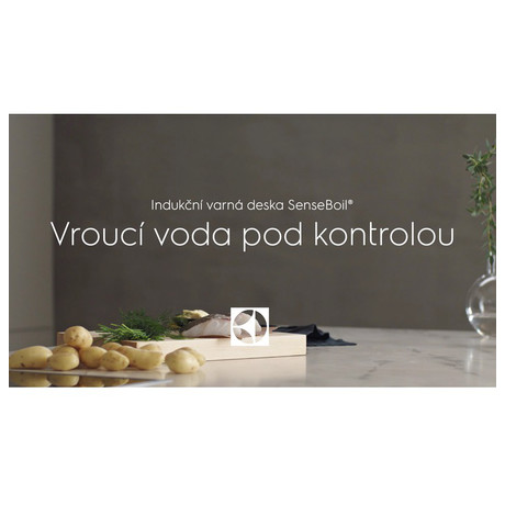 Electrolux EIS62449 (foto 5)