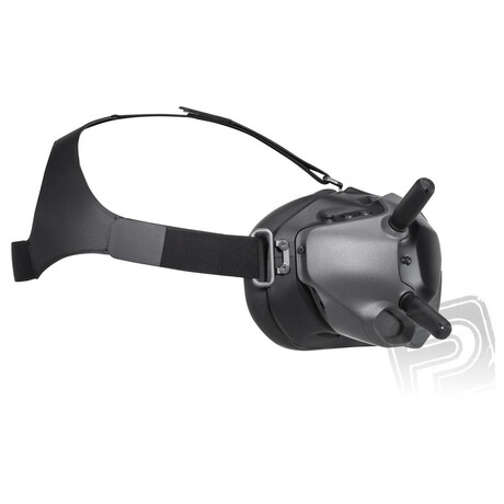 DJI FPV Goggles