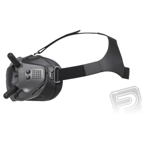 DJI FPV Goggles
