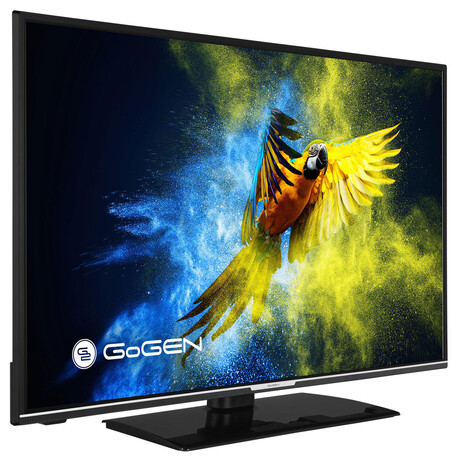 GoGEN TVF 43R552 STWEB (foto 1)
