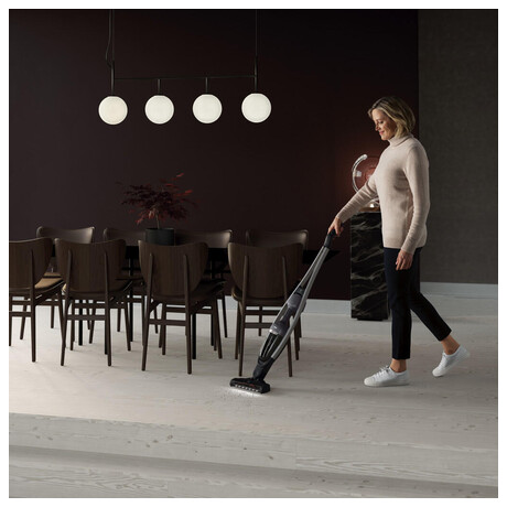 Tyov vysava Electrolux PQ91-ANIMA