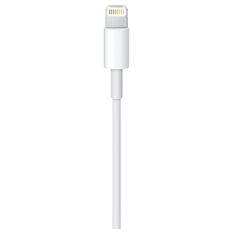 Apple Lightning to&nbsp;USB, 1m (foto 1)