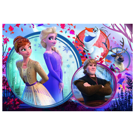 TREFL Puzzle Ledov krlovstv II/Frozen II 160 dlk 41x27,5cm v krabici 29x19x4cm