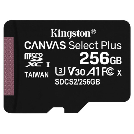 Kingston Micro 256GB Class 10, UHS-I s adaptrem SD2 (foto 1)