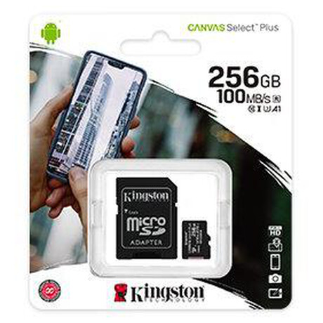 Pamov karta Kingston Micro 256GB Class 10, UHS-I s adaptrem SD2 (SDCS2/256GBSP)